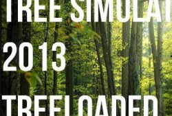 木林森在线观看,穿越时光的森林奇遇记